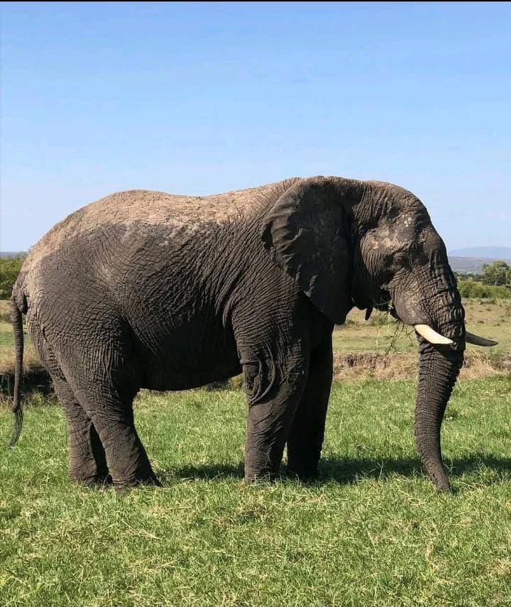 7337e35b1d2a4019aaa860b29b250e44